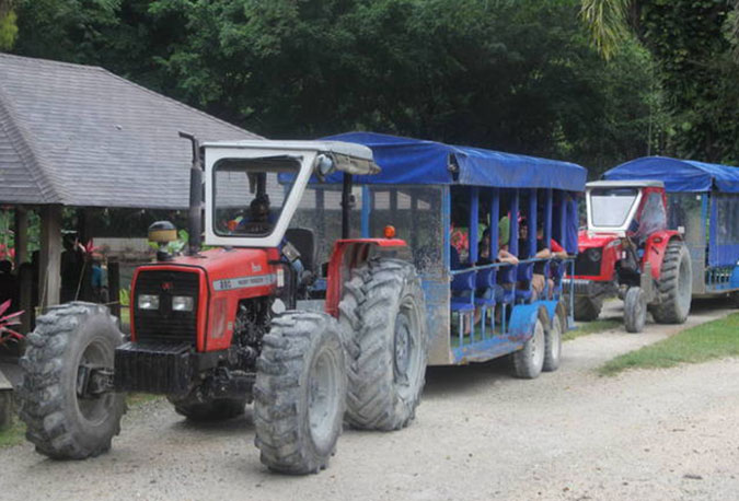 YS-Falls-Jamaica-Tractor