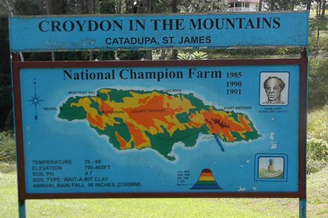 croydon-plantation-5