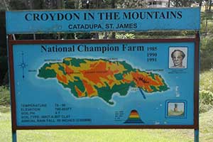 Croydon Plantation in Montego Bay