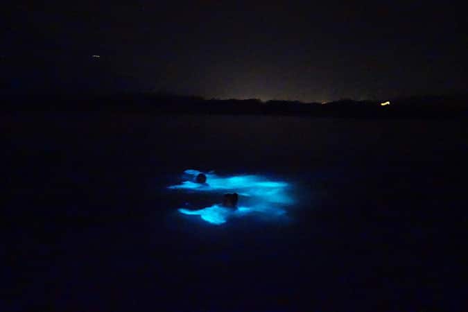 glistening-waters-luminous-lagoon-2