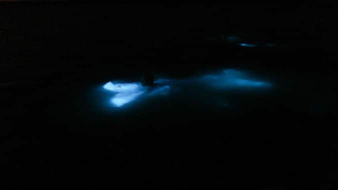 glistening-waters-luminous-lagoon-5
