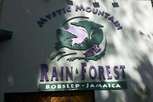 Mystic mountain rainforest in ocho rios