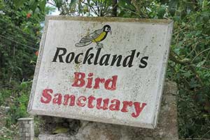 Rocklands Biird Sanctuary in Montego Bay