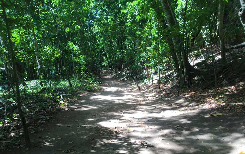 Rio Bueno Jamaica trail to starting point