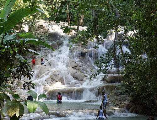 Top 8 Must See Attractions in Ocho Rios