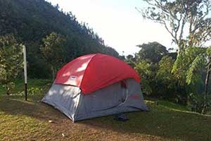 Holywell Park in Blue Mountains Jamaica