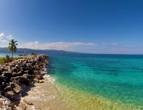 Montego Bay Marine Park