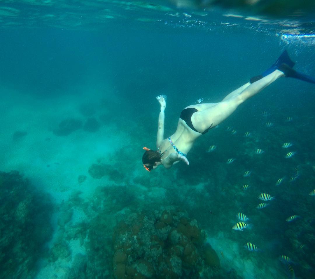 Marine Park Snorkeling Things To Do In Jamaica